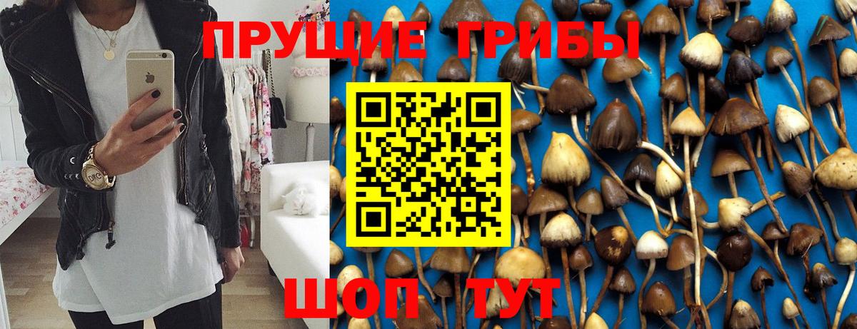 Галлюциногенные грибы мухоморы Балашов
